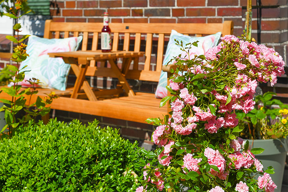 Foto aus der Fotogruppe 