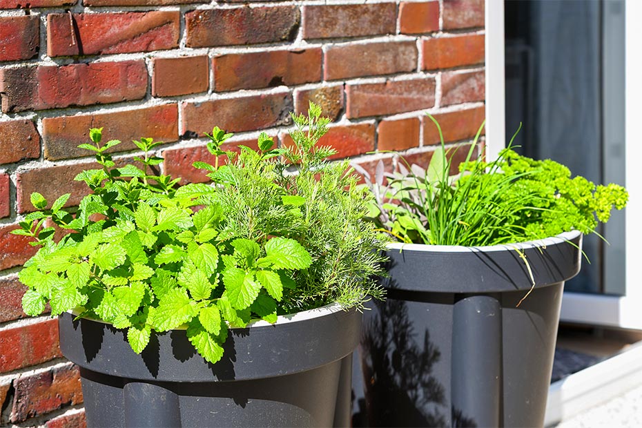 Foto aus der Fotogruppe 