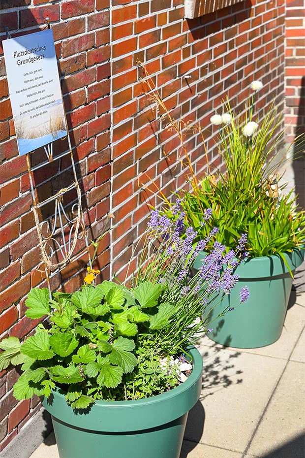 Foto aus der Fotogruppe 